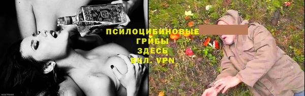 стаф Карталы