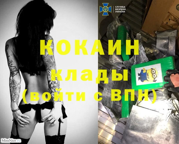 стаф Карталы