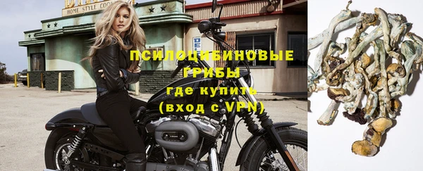 стаф Карталы